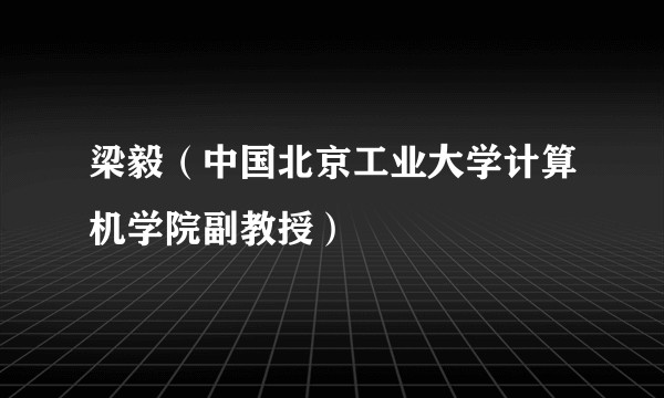 梁毅(中国北京工业大学计算机学院副教授)