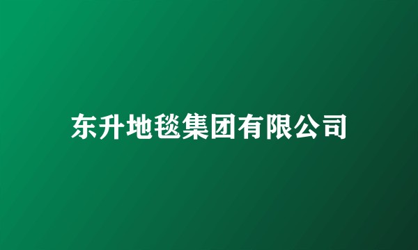 东升地毯集团有限公司