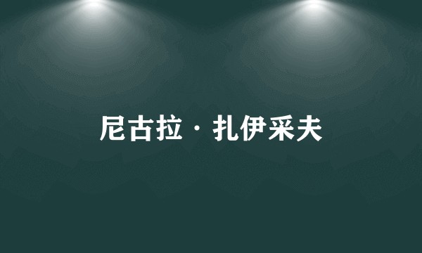 尼古拉·扎伊采夫
