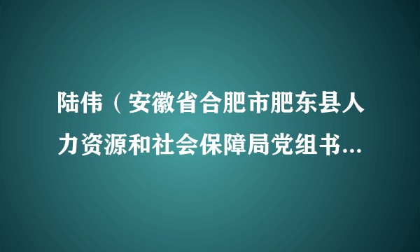 陆伟（安徽省合肥市肥东县人力资源和社会保障局党组书记、局长）