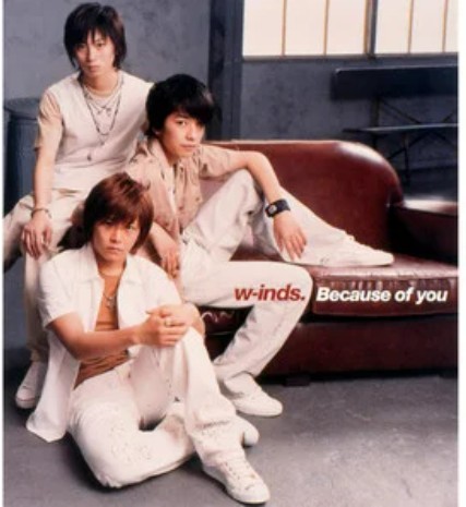 Because of You（w-inds. 演唱歌曲）