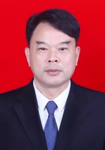 陈琛（湖南省衡阳市衡山县人大常委会原副主任）