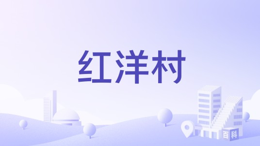 红洋村（广东省广州市南沙区万顷沙镇下辖村）