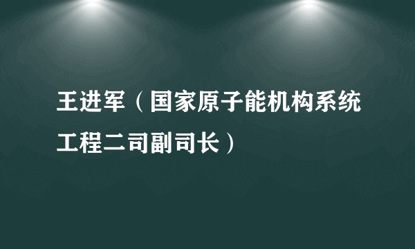 王进军（国家原子能机构系统工程二司副司长）