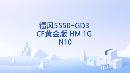 镭风5550-GD3 CF黄金版 HM 1G N10