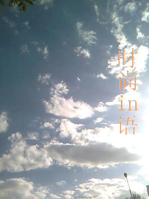 in语