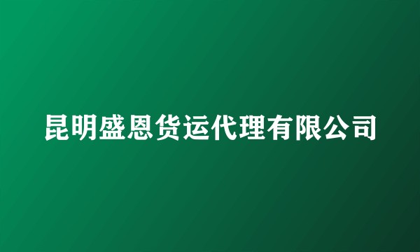 昆明盛恩货运代理有限公司