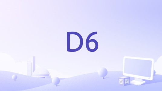 D6（服装ERP系统）