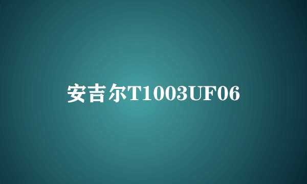 安吉尔T1003UF06