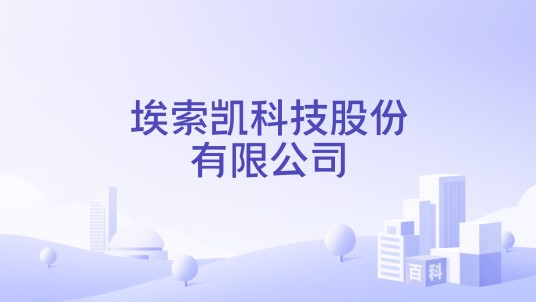 埃索凯科技股份有限公司