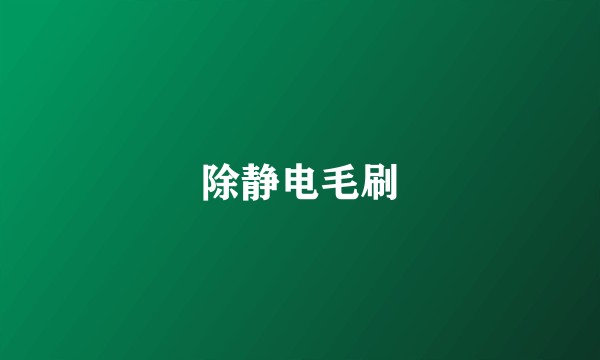 除静电毛刷