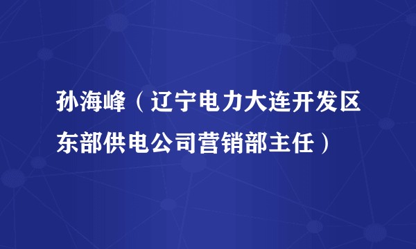 孙海峰（辽宁电力大连开发区东部供电公司营销部主任）