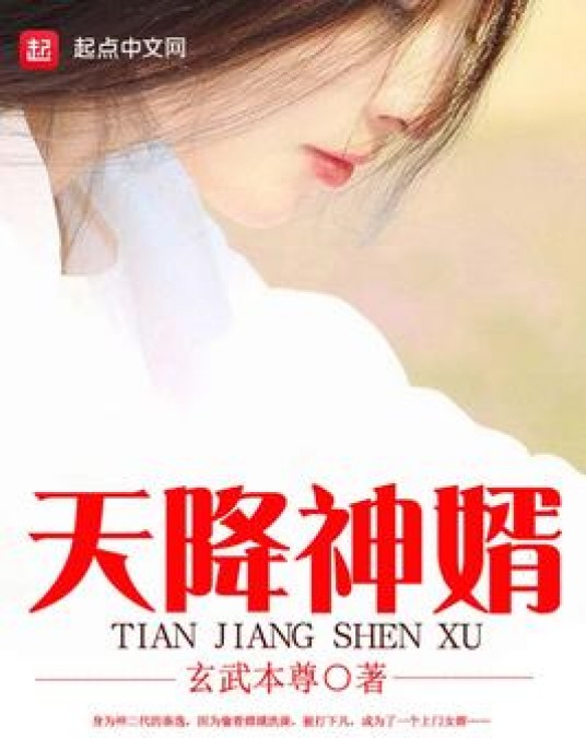天降神婿（玄武本尊所著小说）