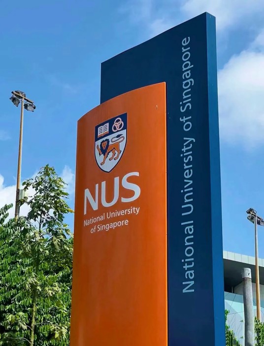 复旦大学—新加坡国立大学联合研究生院