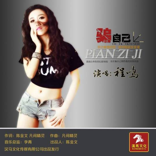 骗自己（程鸣演唱的国语流行单曲）