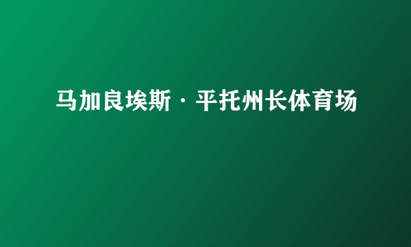 马加良埃斯·平托州长体育场