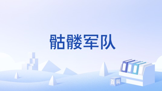 骷髅军队