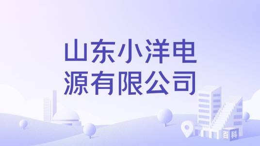 山东小洋电源有限公司