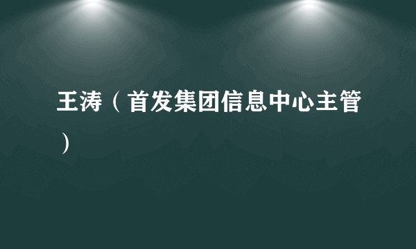 王涛（首发集团信息中心主管）