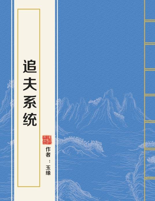 追夫系统