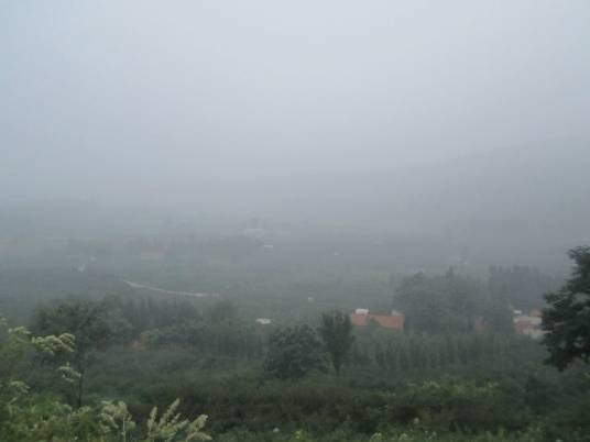 山东头村（淄博市山东头村）