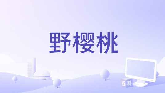 野樱桃(电影剧本)