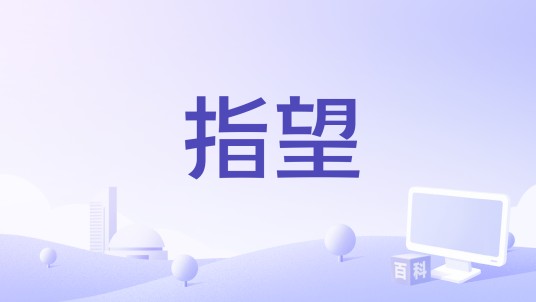 指望（1982年杨德昌执导的电影）