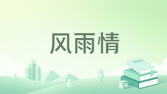 风雨情（天木寅著网络小说）