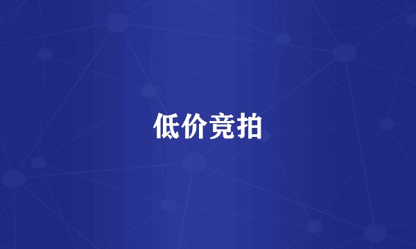 低价竞拍