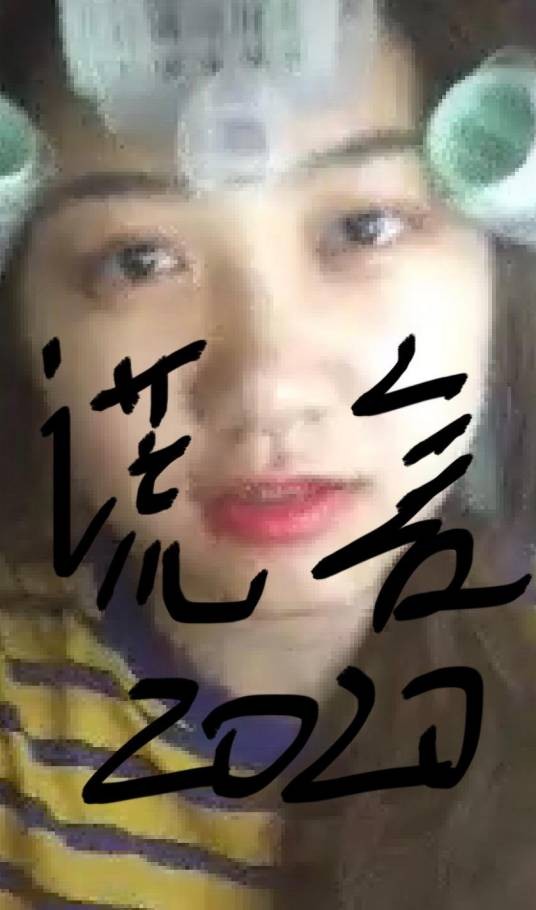 谎言2020