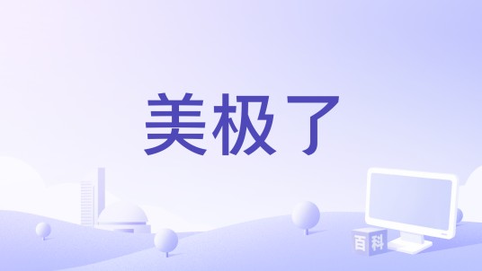 美极了（冯晓泉的歌曲）