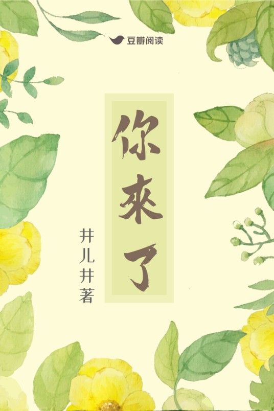 你来了（豆瓣阅读作者井儿井所作言情小说）