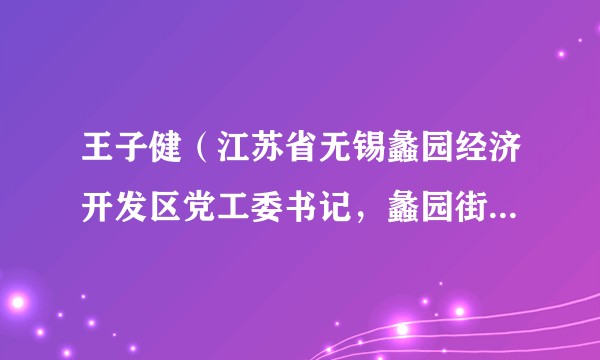 王子健（江苏省无锡蠡园经济开发区党工委书记，蠡园街道党工委书记）