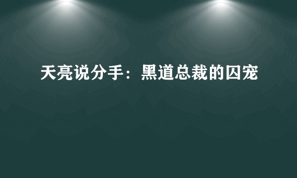 天亮说分手：黑道总裁的囚宠