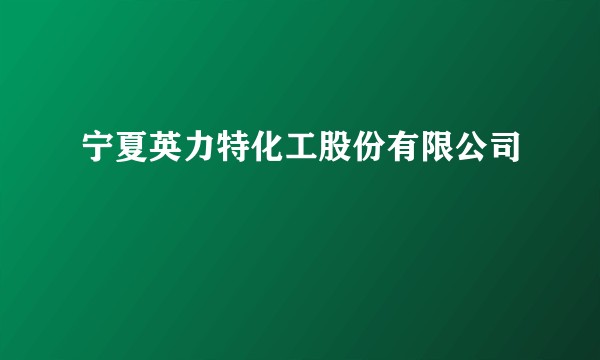 宁夏英力特化工股份有限公司