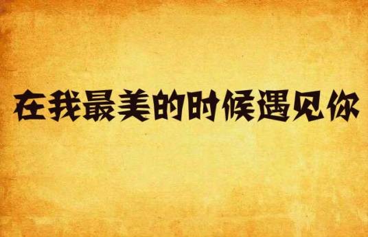 在我最美的时候遇见你