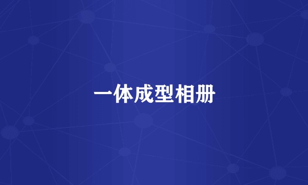 一体成型相册