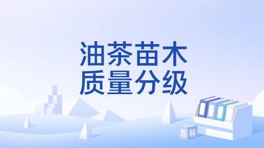 油茶苗木质量分级