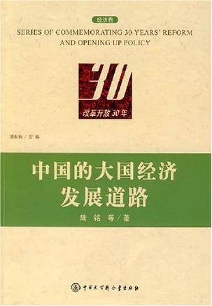 中国的大国经济发展道路