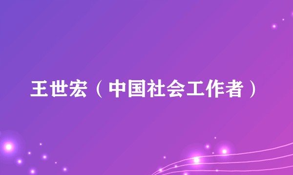 王世宏（中国社会工作者）