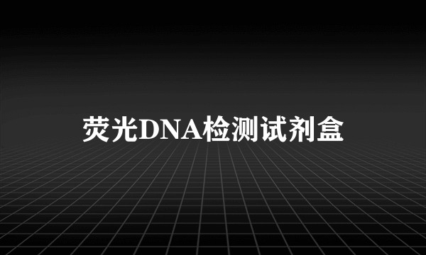 荧光DNA检测试剂盒