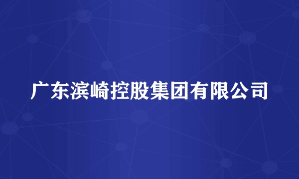 广东滨崎控股集团有限公司