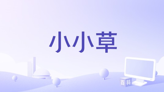 小小草（善莹演唱的歌曲）