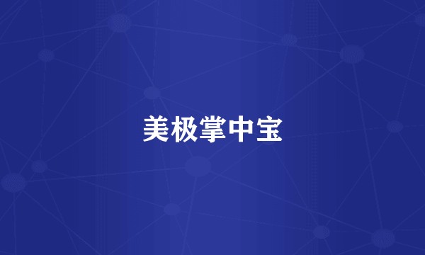 美极掌中宝