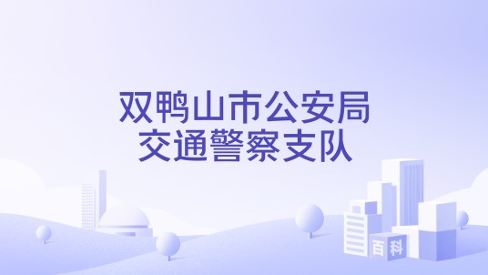 双鸭山市公安局交通警察支队