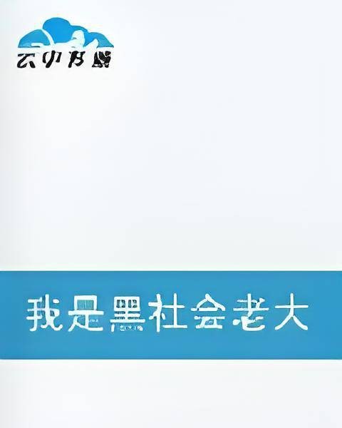 我是黑社会老大