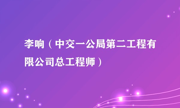 李响（中交一公局第二工程有限公司总工程师）