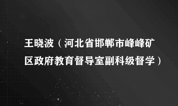 王晓波（河北省邯郸市峰峰矿区政府教育督导室副科级督学）