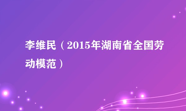 李维民(2015年湖南省全国劳动模范)