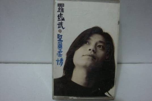 坚固柔情（罗纮武演唱歌曲）